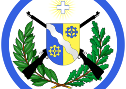 Societe-de-tir-de-Penthalaz (armes de guerre)