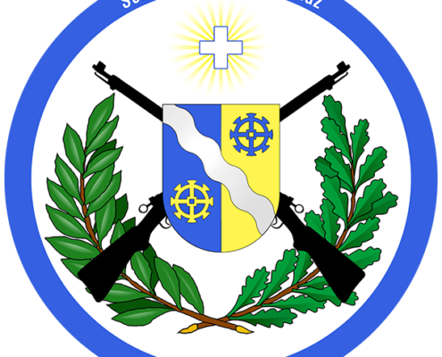 Societe-de-tir-de-Penthalaz (armes de guerre)