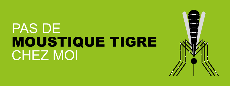 banners_moustique